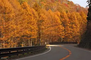 kaiyun-C?	驒q缑b-b?軿蚗9(粖骞村鏆戞槸鍑狅拷019锟藉嚑aa86)