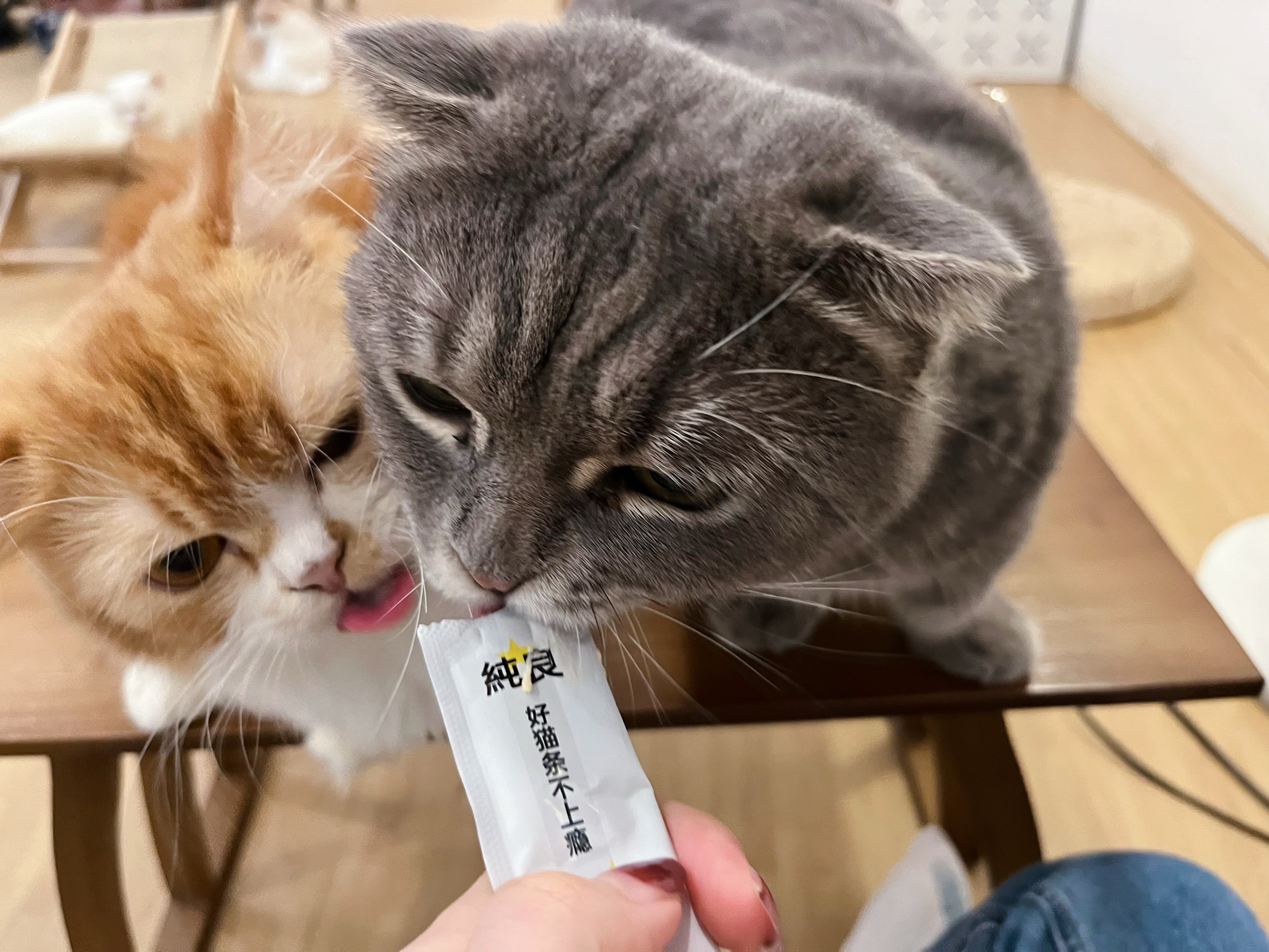 开云体育官网-??P	貓l	沯滀zo椼^?xV脄葪??,笟?厚?(z賾we噦zos)